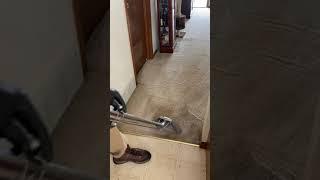 Satisfying Carpet Cleaning