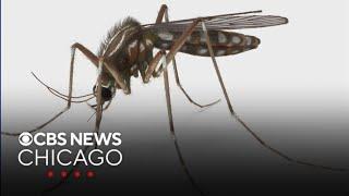 For the first time since 2018, NW Chicago area resident dies of West Nile Virus