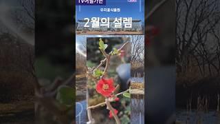 #임영웅 #2월의정원      #TV어딜가든