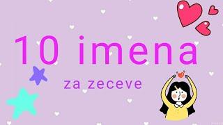 10 imena za zeceve 