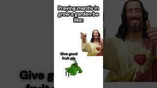 Praying mantis in grow a garden be like   #roblox #growagarden