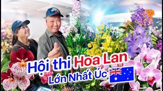 Hội Thi HOA LAN Lớn Nhất Úc  | Triển Lãm Hoa Lan Orchid Show Australia