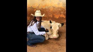 P601 La campeona nacional vaquera y sus perros adoptados.