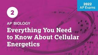 2022 Live Review 2 | AP Biology | Everything You Need to Know About Cellular Energetics