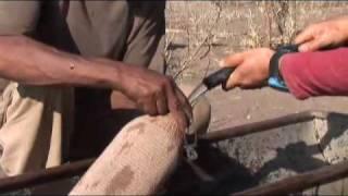 Pilgrim Installs Water Systems for Bushman Villages.mov