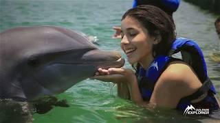 Swimming with dolphins in the Dominican Republic