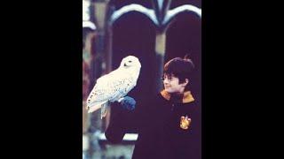 4 Curious Facts about Hedwig_ #Shorts