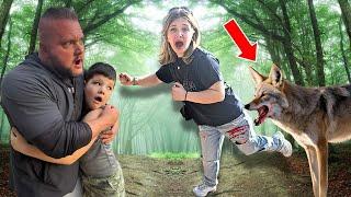 Hunting DOWN the VICIOUS COYOTE that Attacked my Daughter!