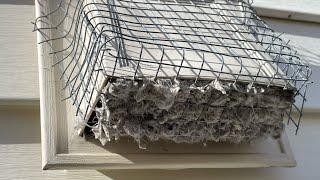 URGENT Message! STOP Doing This NOW! Dryer Vent Cleaning! #almetaldryervent #satisfying #diy