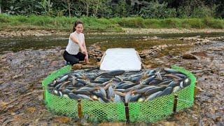 Ana made a very unique fish trap, unexpectedly caught a lot of fish. | Ana fishing