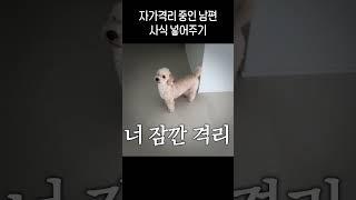 코로나 격리 생활