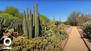 Museums and Culture in Phoenix