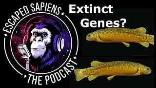 Annihilation of genetic diversity? | Ben Novak | Escaped Sapiens Podcast