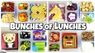 ALL SANDWICHES! School LUNCH IDEAS  Bunches of Lunches