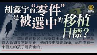 胡鑫宇是被選中目標？「零件」連夜送上海移植