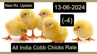 All India Cobb Chicks Rate Today 13-06-2024