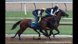 Early Breeders' Cup Look "Contenders and Pretenders"