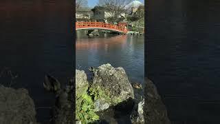 Perfect Vision Affirmation | Florence Scovel Shinn Commentary