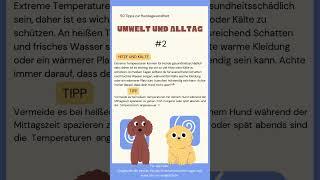 Umwelt + Alltag #2:  Hitze und Kälte mit Hund  #hunde #hundewissen #hundegesundheit #hundeliebe