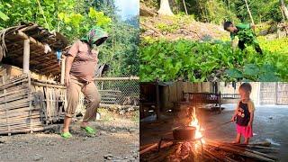 boy picking vegetables, woman doing housework, raising pigs