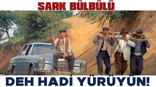 Şark Bülbülü Türk Filmi | Şaban, Zülfo Ağayı Çifte Sürüyor!