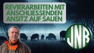 Revierarbeiten mit anschließenden Ansitz auf Sauen.