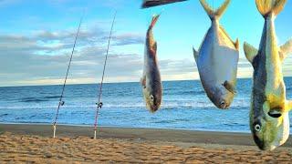 "MEU DEUS DO CÉU" NUNCA SUBESTIME essa ISCA no MAR, OS PEIXES NÃO RESISTEM!!! Pesca de praia.