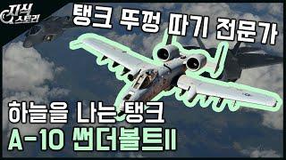 하늘을 나는 탱크 "A-10 썬더볼트II" / 탱크 뚜껑 따기 전문가 [지식스토리]