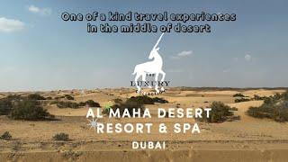 [Al Maha Resort, Dubai] Truly unique experience in the middle of desert 이색적인 사막 리조트 알 마하 두바이 럭셔리 컬렉션