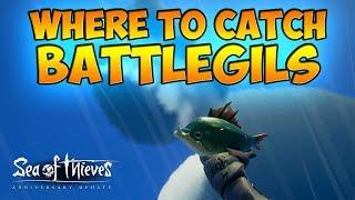 Where To Catch Battlegils Guide | Anniversary Update | Sea of Thieves