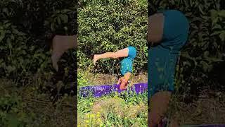 Yoga Wild Stand to Reverse Gravity