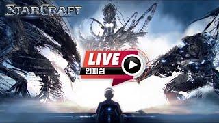 25.02.06(목) 【 인피쉰 생방송 다시보기 】 스타 빨무 스타크래프트 Starcraft