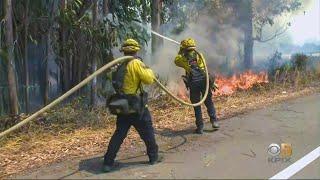 Evacuation Zone Expands as CZU August Lightning Complex Fires Advance