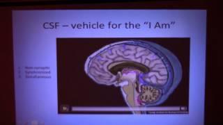 The Cerebrospinal Fluid and the Appearance of “I Am”,  Mauro Zappaterra