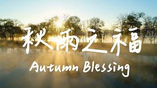 Autumn Blessing | Waiting for God Music | Piano Soaking Music | Spiritual Music | Relaxing Music