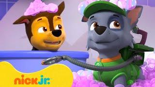 PSI Patrol w kąpieli z pianką! Występuje: Chase  10-minutowa składanka | Nick Jr. Polska