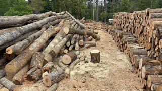Sunday sweating with Gramp in the #Firewood pile!