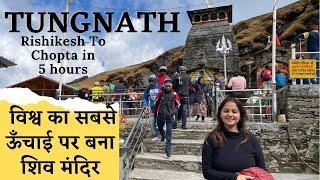 Chopta Tungnath Trek - Chopta Tour || Rishikesh to Chopta Tungnath Temple || Highest Shiva Temple