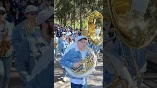 AFL Grand Final 2022 - Cats March to the MCG.