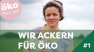 So leben Bio-Hühner auf Naturland Hof Määhgut von Anna Reinsberg I Wir Ackern Für Öko - Folge 1