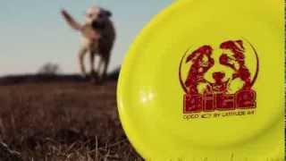 Latitude 64° Bite Dog Discs