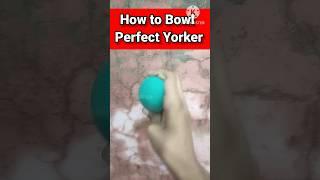  How To Bowl Perfect Yorker With Tennis Ball | Yorker Bowling Tips | #cricket #viral #shorts