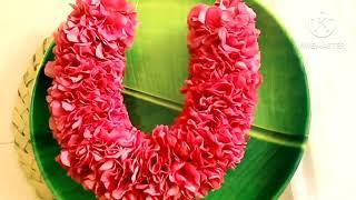 how to string red arali poo/flowertying diy/sevvarali poo maalai kattuvathu epadi/garland diy