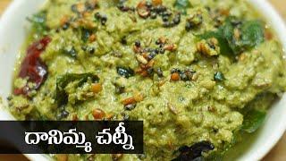 Danimma Pickle Recipe || దానిమ్మ తో చట్నీ || Food Express Pickle Recipes