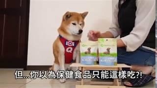 【寵物保健品】寶天然Pet Naturals 心情好好犬嚼錠