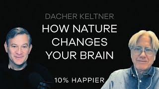 How Nature Changes Your Brain | Dacher Keltner