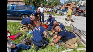Jacksonville Fire Rescue Department rescues multiple cats and dogs from a house fire