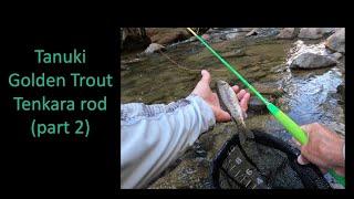 Tenkara Tanuki GOLDEN TROUT rod (part 2)