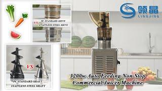 New 2024 Commercial Cold Press Juicer | 24 hours working for Juicing Celery, Carrot, Orange, Apple