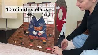 opbodqo Cardboard Cat House Assembly + Cat Plays